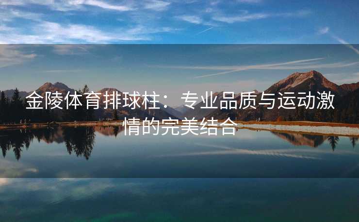 金陵体育排球柱：专业品质与运动激情的完美结合