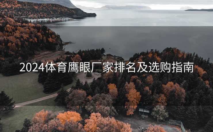 2024体育鹰眼厂家排名及选购指南