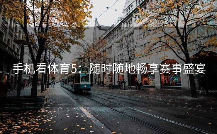 手机看体育5：随时随地畅享赛事盛宴