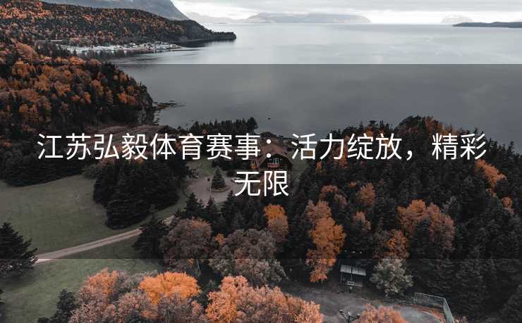 江苏弘毅体育赛事：活力绽放，精彩无限