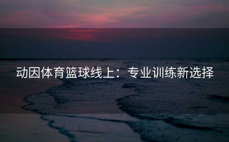 动因体育篮球线上：专业训练新选择