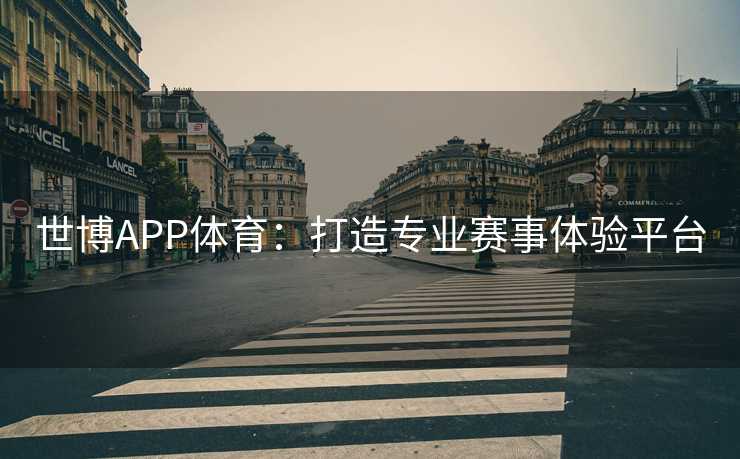 世博APP体育：打造专业赛事体验平台