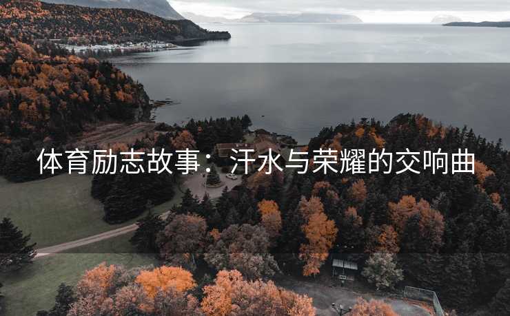 体育励志故事：汗水与荣耀的交响曲