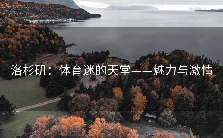 洛杉矶：体育迷的天堂——魅力与激情