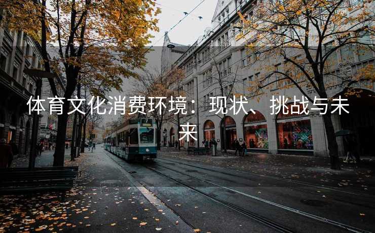 体育文化消费环境：现状、挑战与未来
