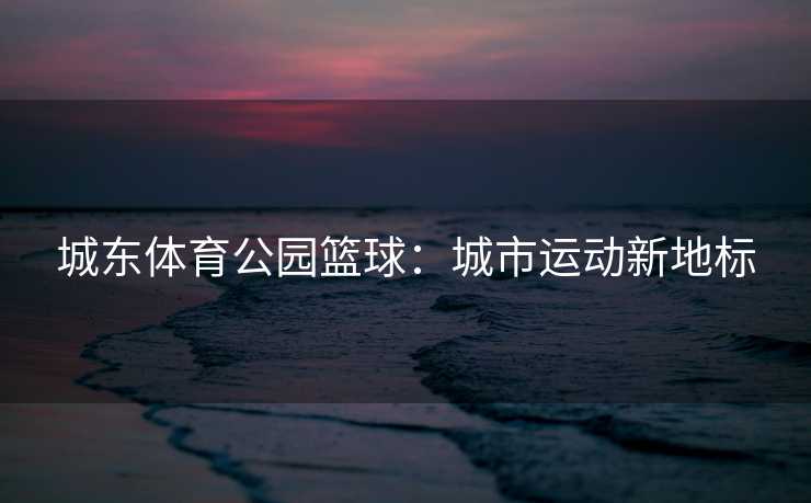 城东体育公园篮球：城市运动新地标