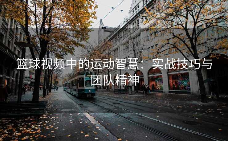 篮球视频中的运动智慧：实战技巧与团队精神