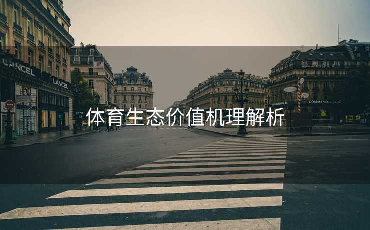体育生态价值机理解析