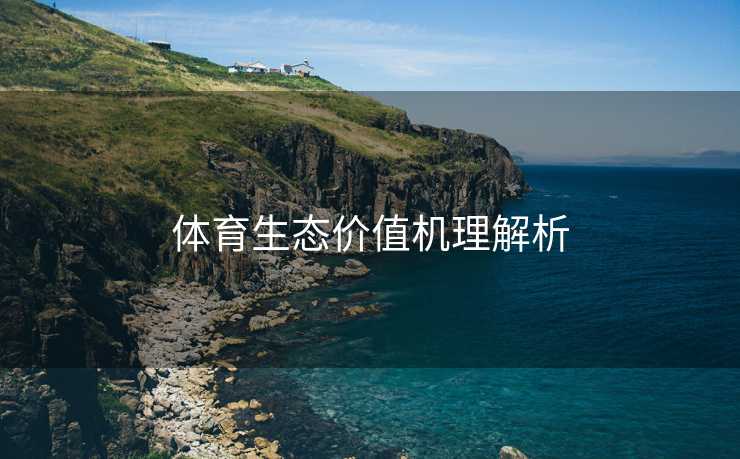 体育生态价值机理解析
