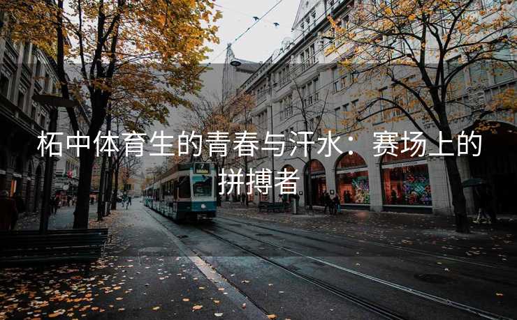 柘中体育生的青春与汗水：赛场上的拼搏者