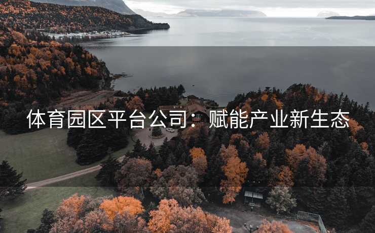 体育园区平台公司：赋能产业新生态