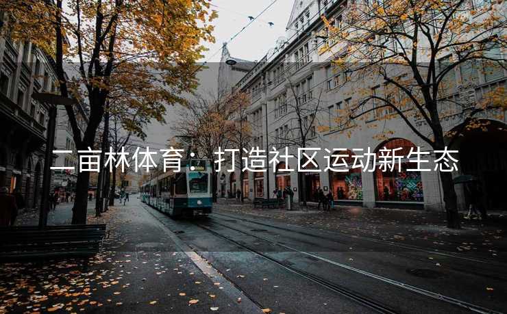 二亩林体育：打造社区运动新生态