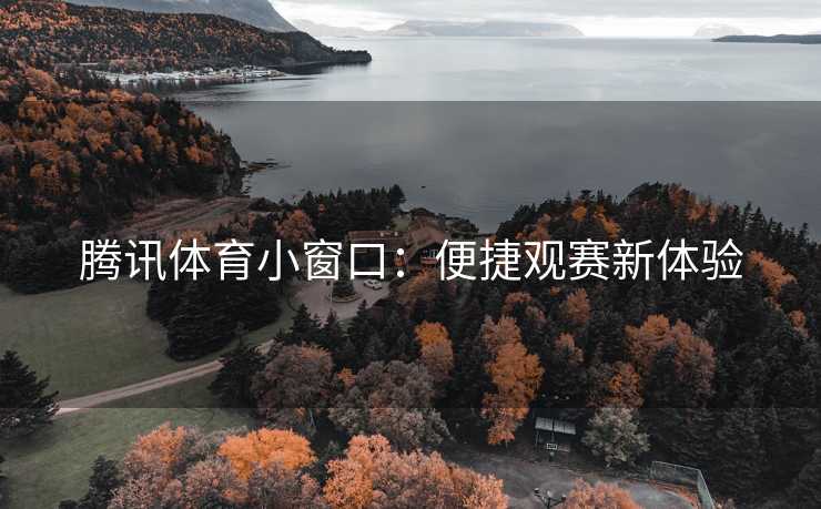 腾讯体育小窗口：便捷观赛新体验