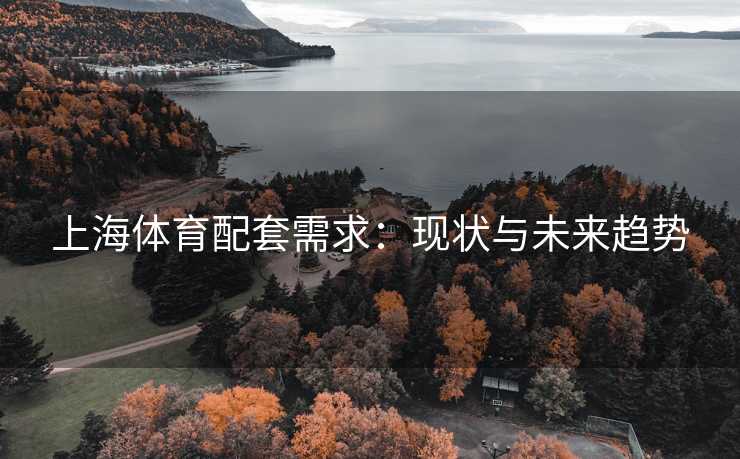 上海体育配套需求：现状与未来趋势