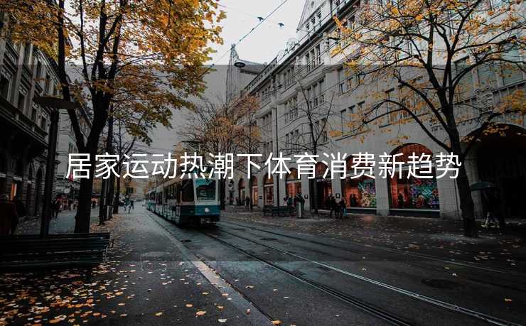 居家运动热潮下体育消费新趋势