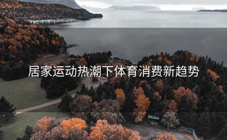 居家运动热潮下体育消费新趋势