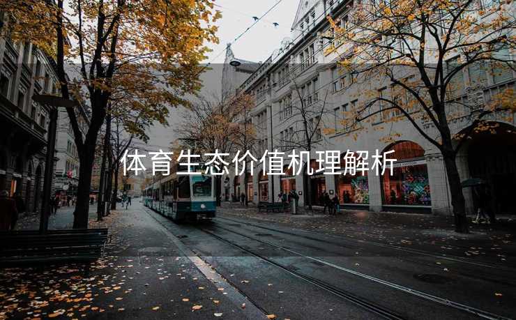 体育生态价值机理解析