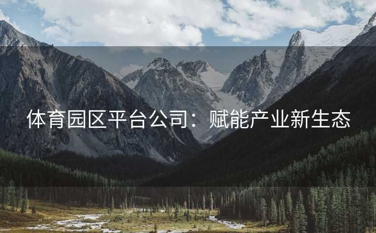 体育园区平台公司：赋能产业新生态