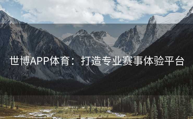 世博APP体育：打造专业赛事体验平台