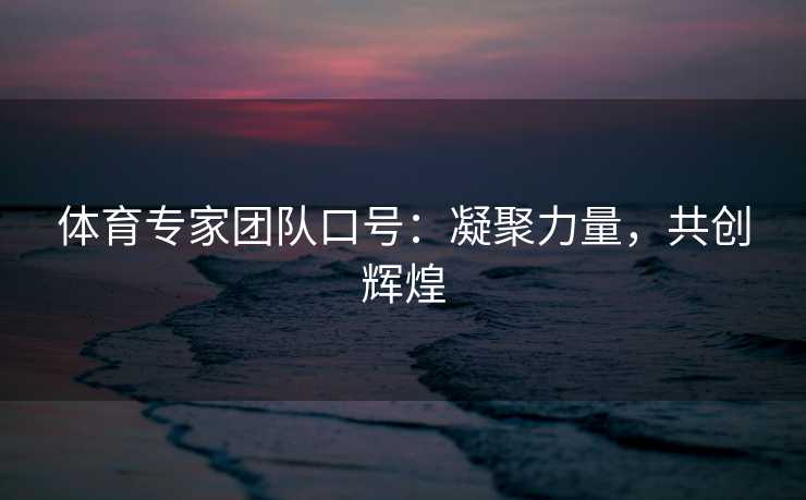 体育专家团队口号：凝聚力量，共创辉煌