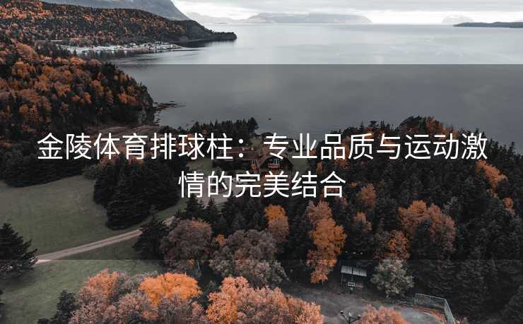 金陵体育排球柱：专业品质与运动激情的完美结合