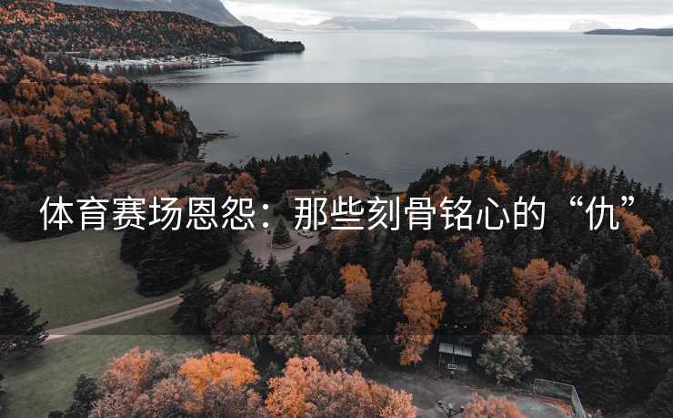 体育赛场恩怨：那些刻骨铭心的“仇”