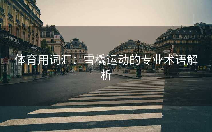 体育用词汇：雪橇运动的专业术语解析
