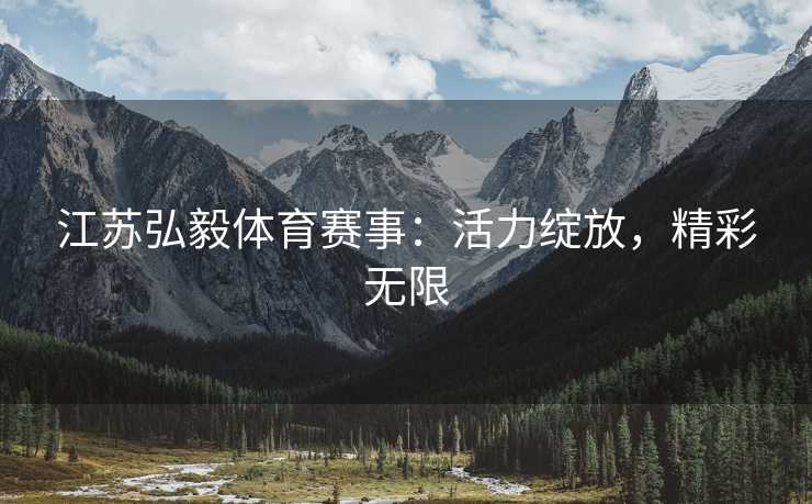 江苏弘毅体育赛事：活力绽放，精彩无限