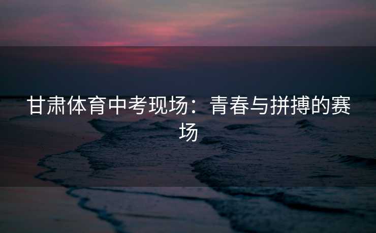 甘肃体育中考现场：青春与拼搏的赛场