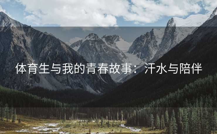 体育生与我的青春故事：汗水与陪伴