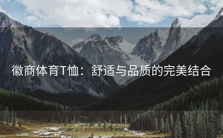 徽商体育T恤：舒适与品质的完美结合