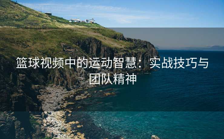 篮球视频中的运动智慧：实战技巧与团队精神