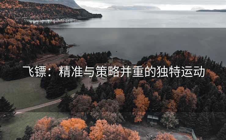 飞镖：精准与策略并重的独特运动