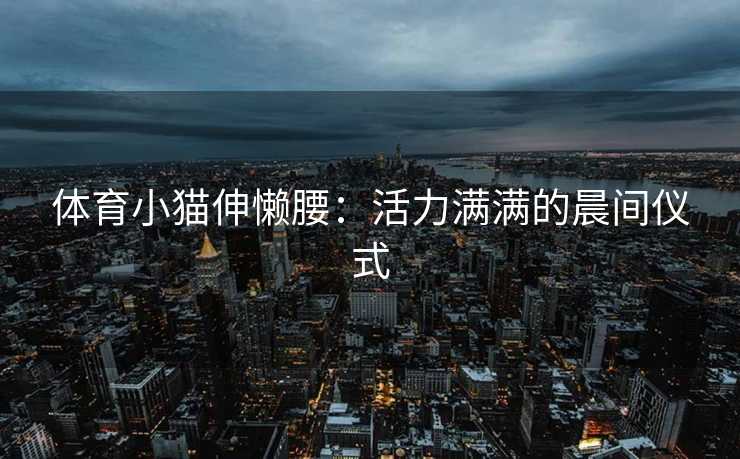 体育小猫伸懒腰：活力满满的晨间仪式