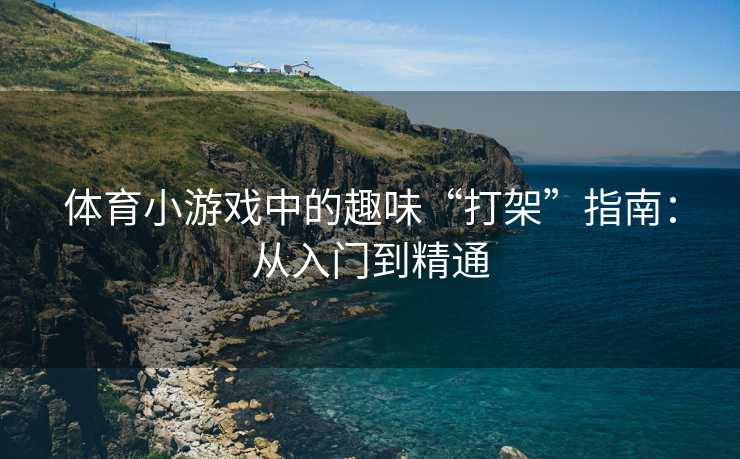 体育小游戏中的趣味“打架”指南：从入门到精通
